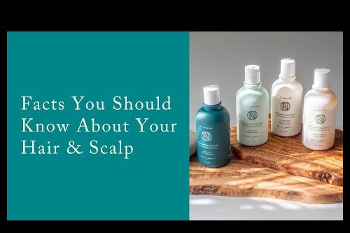 Embedded thumbnail for Facts You Should Know About Your Hair &amp;amp; Scalp