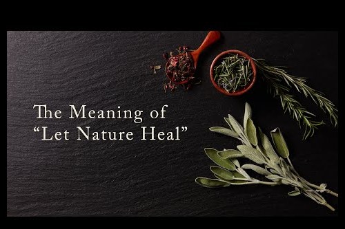 Embedded thumbnail for The Meaning of &amp;quot;Let Nature Heal&amp;quot;